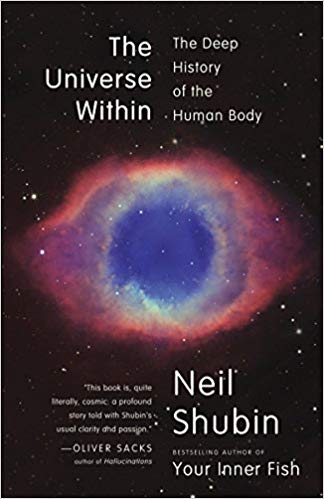 The Deep History of the Human Body - The Universe Within