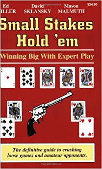 Winning Big with Expert Play - Small Stakes Hold 'em