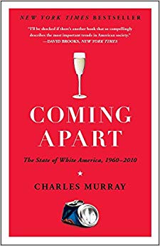The State of White America - 1960-2010 - Coming Apart