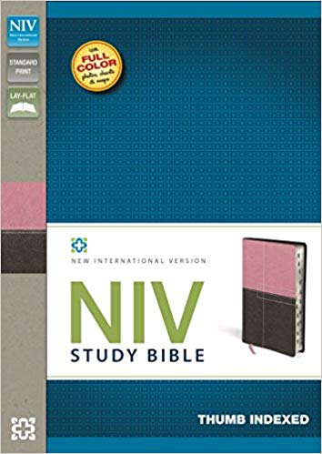 Red Letter Edition - NIV Study Bible