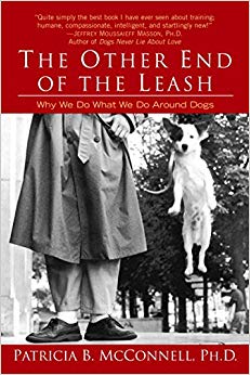 Why We Do What We Do Around Dogs - The Other End of the Leash