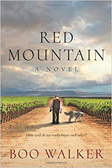 Red Mountain: A Novel