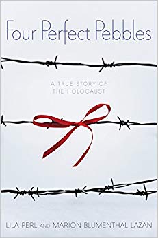 A True Story of the Holocaust - Four Perfect Pebbles