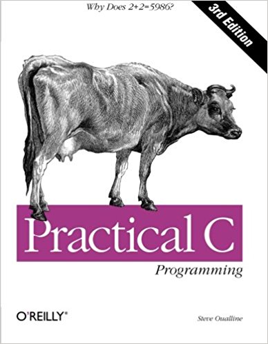 Why Does 2+2 = 5986? (Nutshell Handbooks) - Practical C Programming