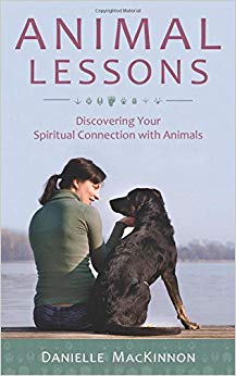 Discovering Your Spiritual Connection with Animals