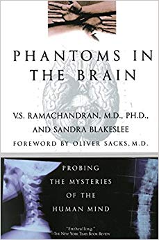 Probing the Mysteries of the Human Mind - Phantoms in the Brain
